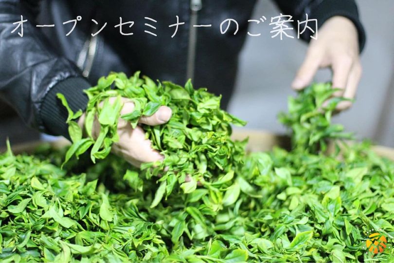 オープンセミナー／香の芸術～烏東山の茶旅から学ぶ単叢茶の世界