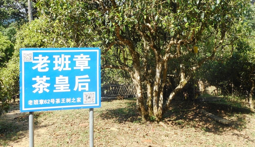 健康な土壌とは?